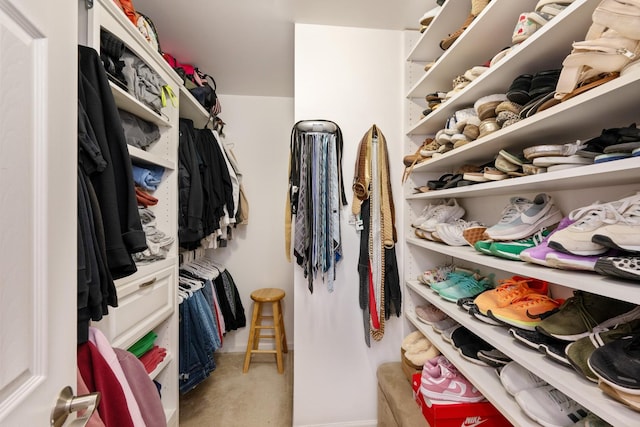 spacious closet featuring light colored carpet