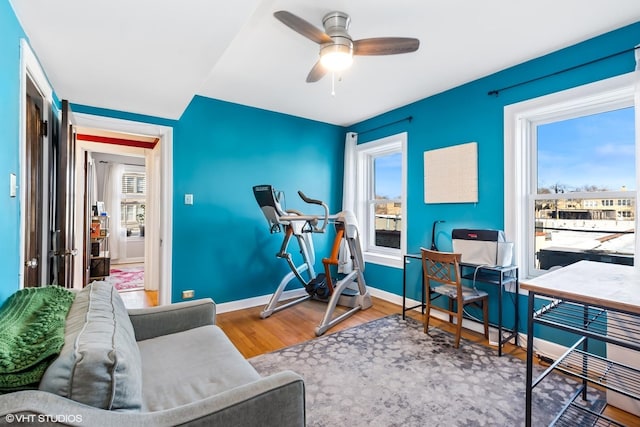 exercise area featuring ceiling fan, a healthy amount of sunlight, and wood finished floors