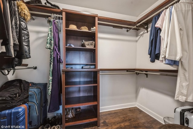 walk in closet featuring wood finished floors