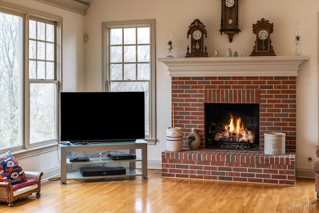 living area featuring a healthy amount of sunlight, baseboards, wood finished floors, and a fireplace