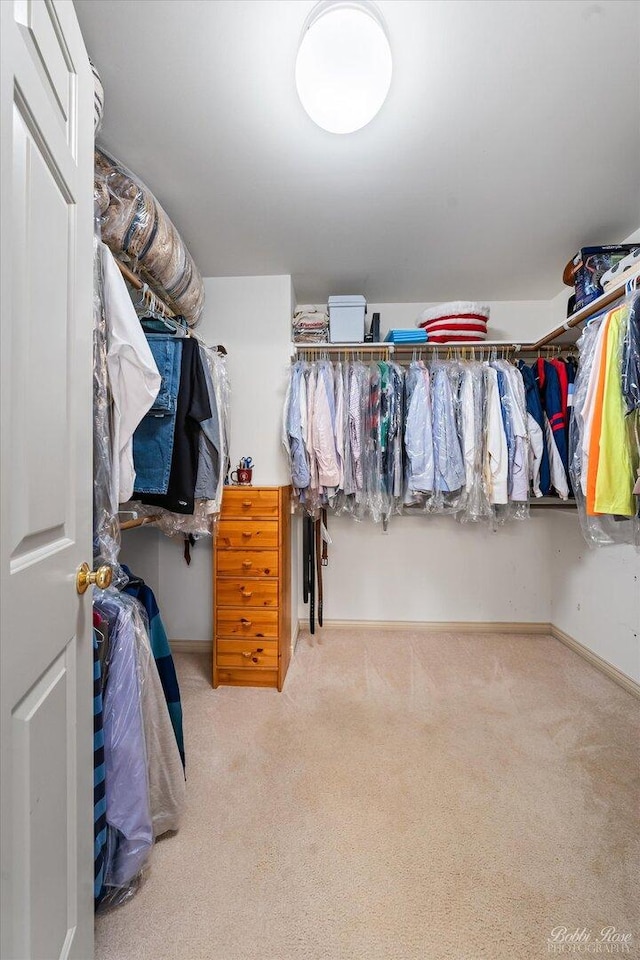 spacious closet with carpet floors
