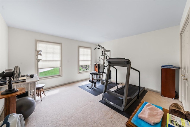 workout area with carpet floors