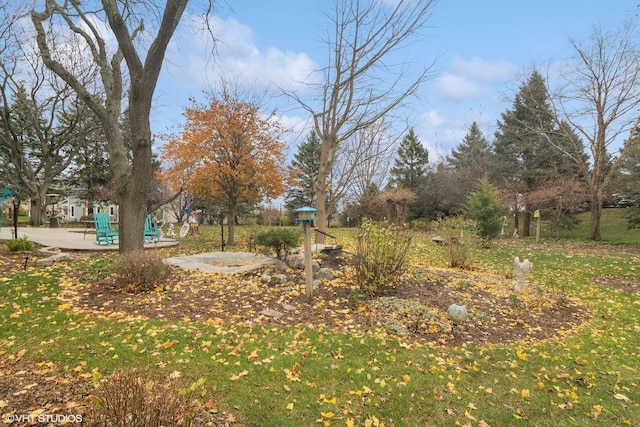 view of yard with a patio