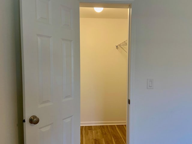 walk in closet featuring wood finished floors