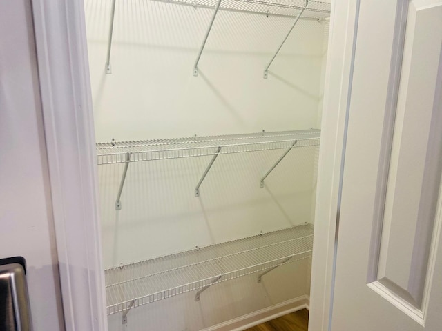 spacious closet featuring wood finished floors