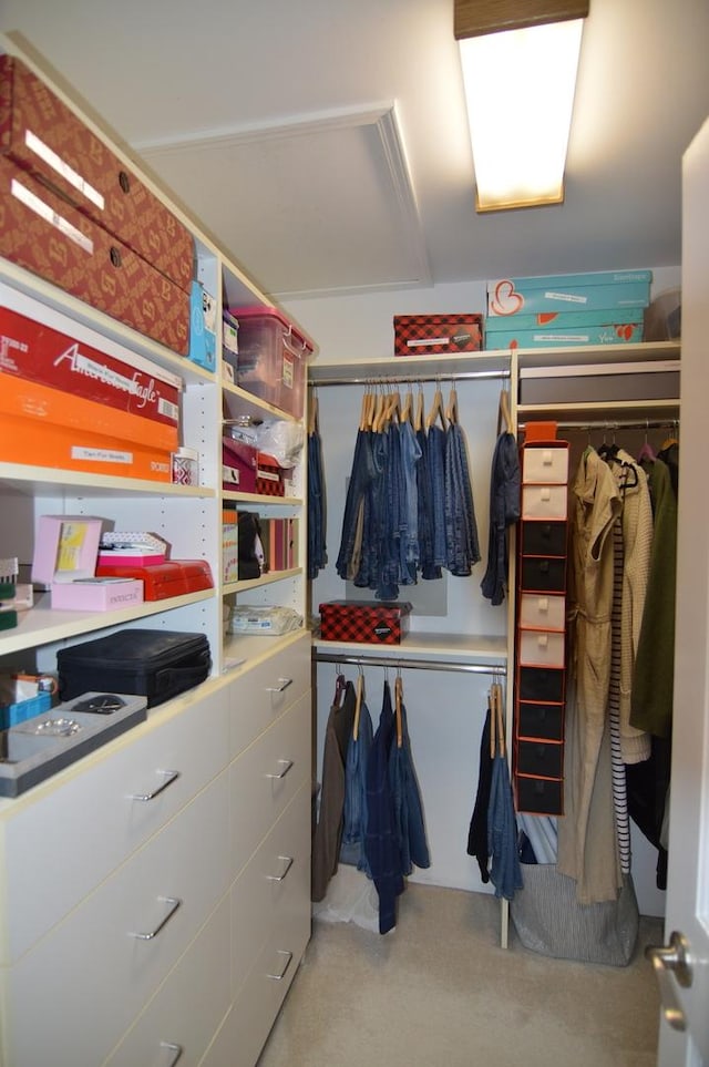 view of spacious closet