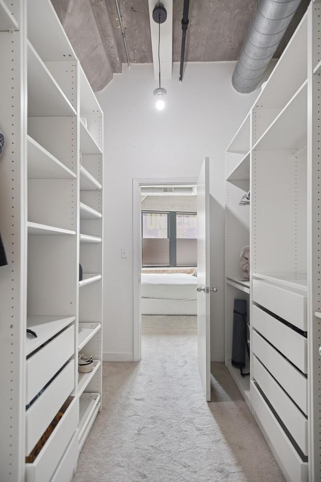 spacious closet with light colored carpet