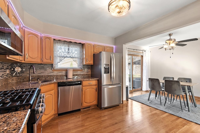 kitchen featuring light wood finished floors, a healthy amount of sunlight, appliances with stainless steel finishes, and a sink