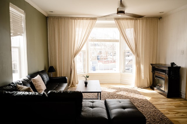 living room with a glass covered fireplace, ceiling fan, wood finished floors, and ornamental molding