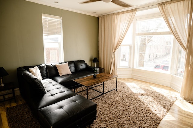 living area with ceiling fan, wood finished floors, a healthy amount of sunlight, and ornamental molding