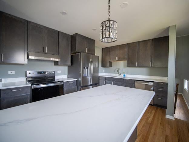 kitchen featuring wood finished floors, a sink, stainless steel appliances, under cabinet range hood, and decorative light fixtures