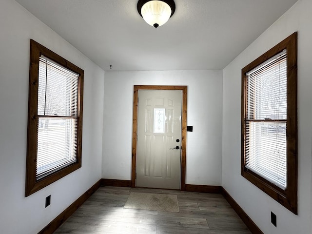 foyer with baseboards, a healthy amount of sunlight, and light wood-style flooring