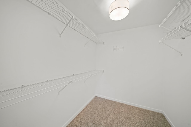 walk in closet featuring carpet flooring