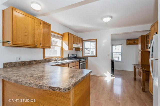 kitchen with light wood finished floors, stainless steel gas range, freestanding refrigerator, a sink, and brown cabinets