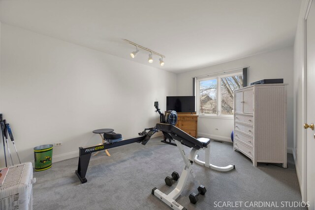 workout room with track lighting, baseboards, and carpet floors