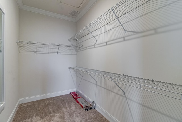 walk in closet with carpet flooring and visible vents