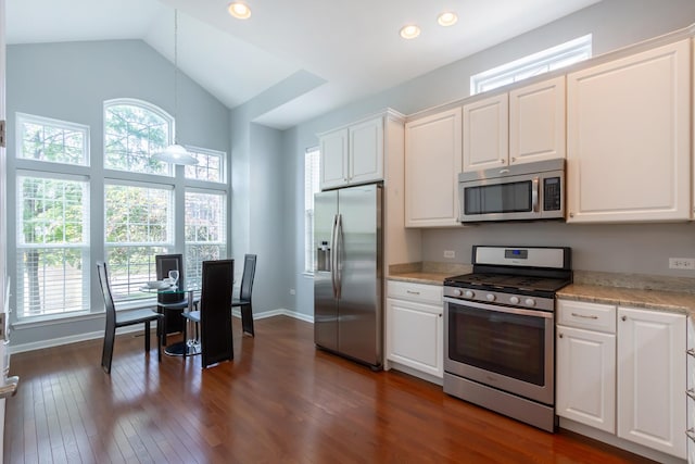 kitchen featuring dark wood-type flooring, a healthy amount of sunlight, and appliances with stainless steel finishes