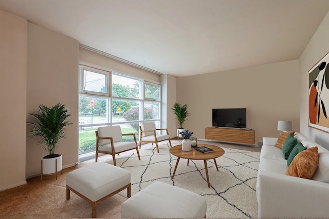 living room with baseboards