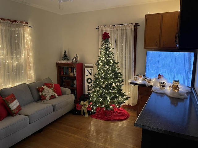 living room featuring wood finished floors