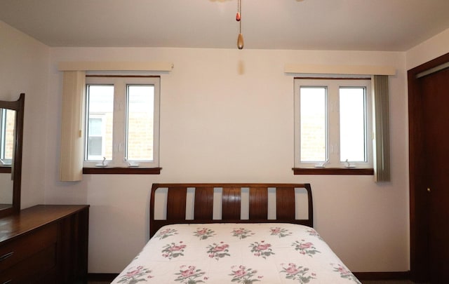 bedroom with multiple windows