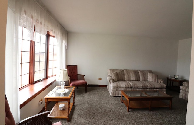 living room featuring baseboards and carpet