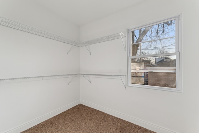 walk in closet with dark carpet