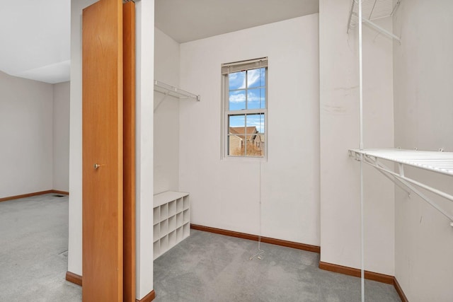 walk in closet featuring carpet flooring