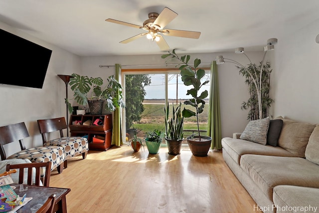 living room with wood finished floors and ceiling fan