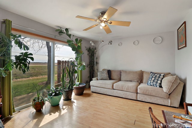 living room with a ceiling fan and wood finished floors