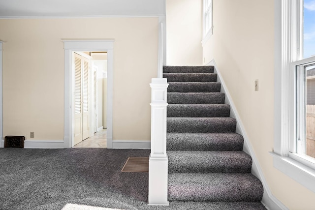 stairway with a wealth of natural light, baseboards, carpet flooring, and crown molding