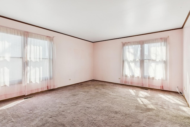 carpeted empty room featuring visible vents and ornamental molding