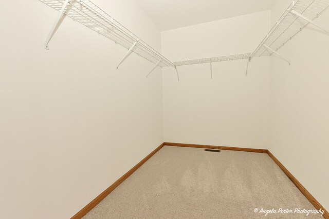 walk in closet featuring visible vents and carpet flooring