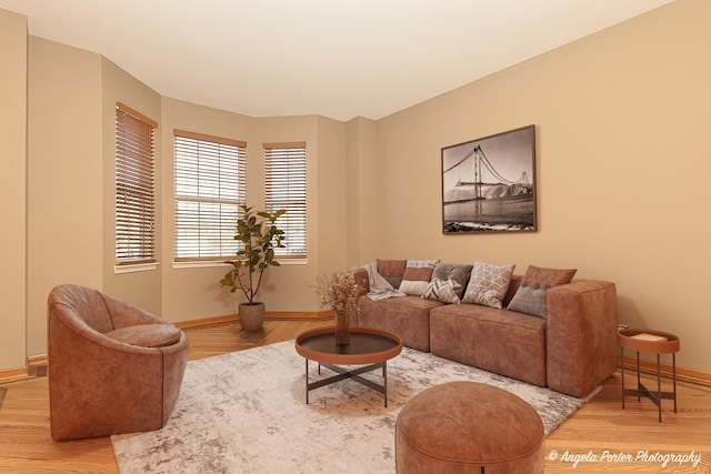 living area with wood finished floors and baseboards