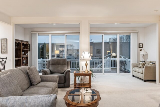 13536 Westridge Ct, Huntley, IL 60142 - living room with carpet