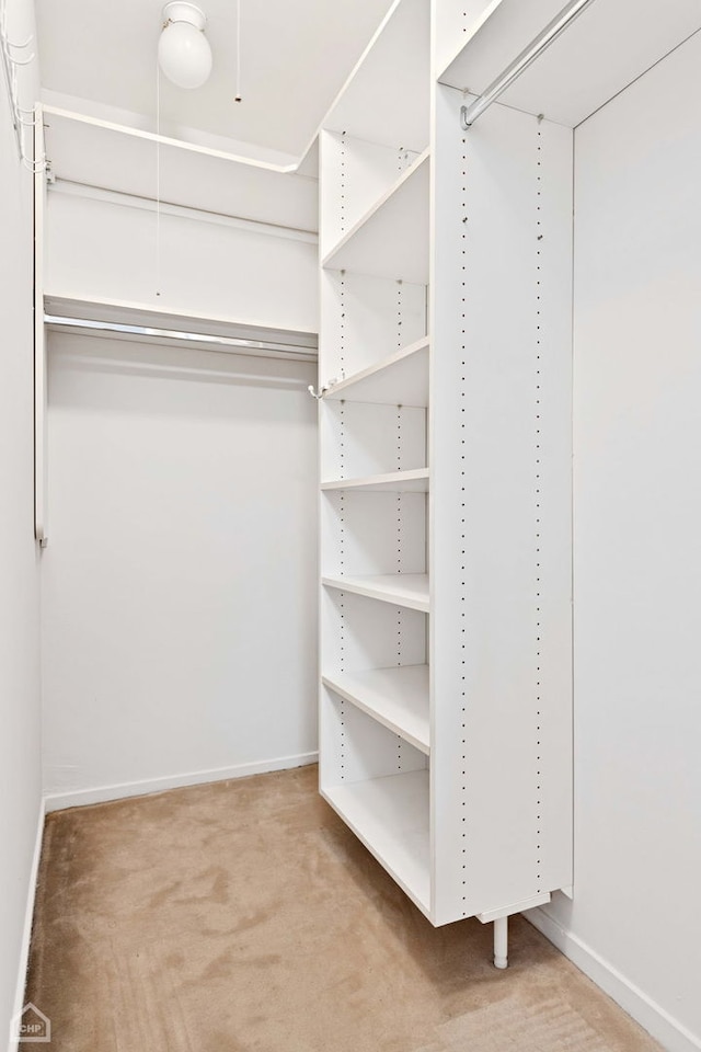 spacious closet featuring carpet flooring