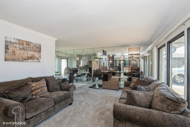 living area with carpet and ornamental molding