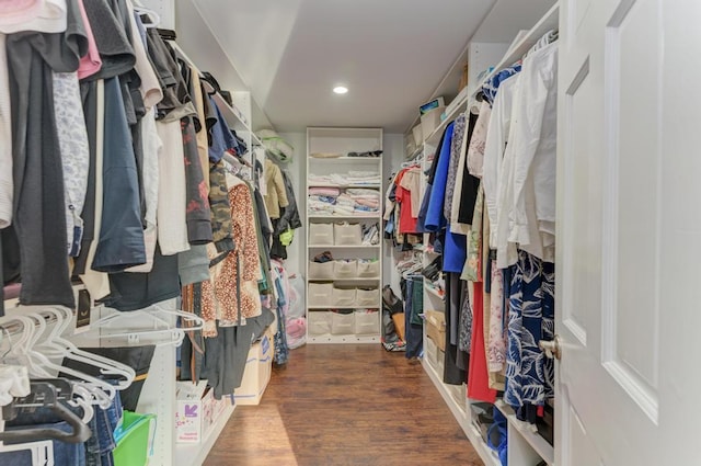 walk in closet featuring wood finished floors