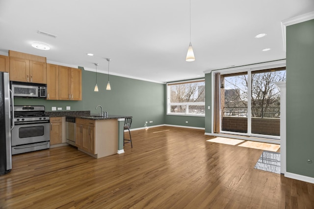 kitchen with dark wood finished floors, a peninsula, stainless steel appliances, and baseboards