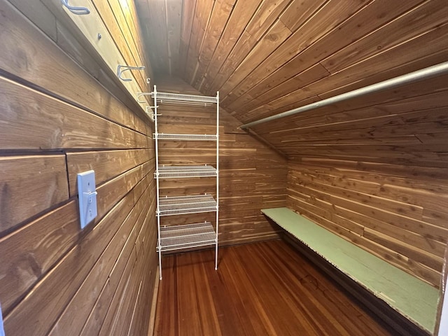 spacious closet with dark wood finished floors and vaulted ceiling