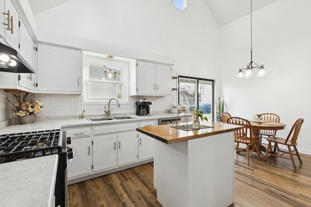 kitchen with a sink, wooden counters, dark wood-style floors, and gas stove