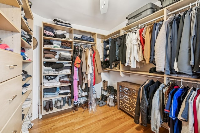 walk in closet with wood finished floors