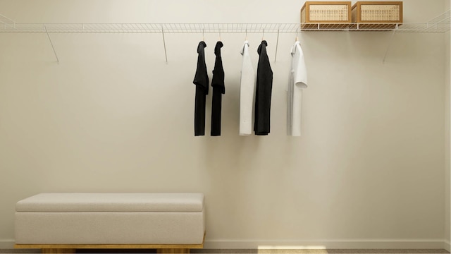 2371 Stone Creek Dr, New Lenox, IL 60451 - view of spacious closet