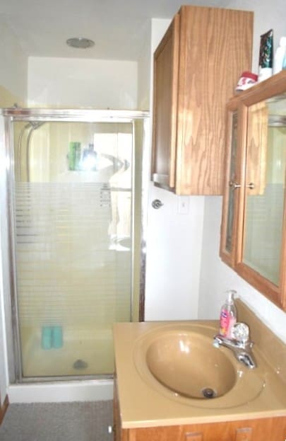 bathroom with a shower stall and vanity