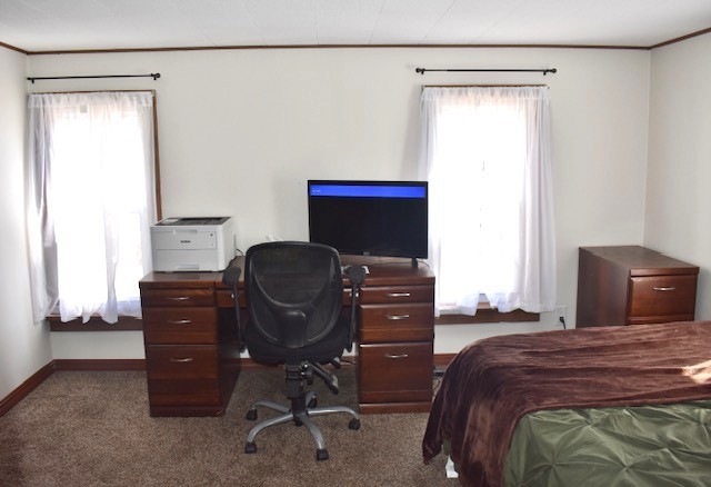 bedroom with carpet flooring, multiple windows, baseboards, and ornamental molding