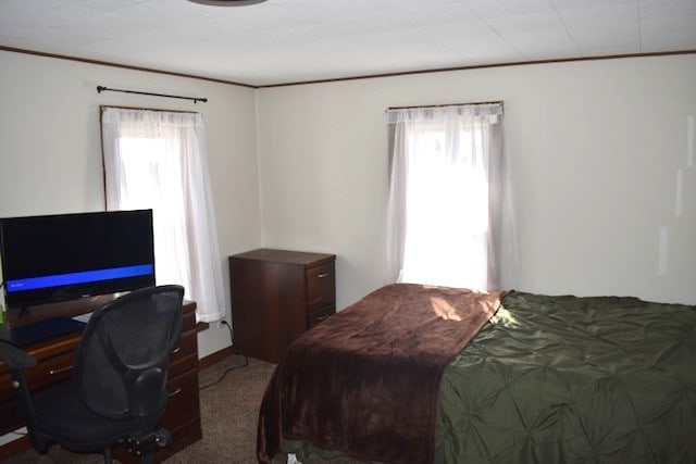 bedroom featuring multiple windows, carpet, and ornamental molding