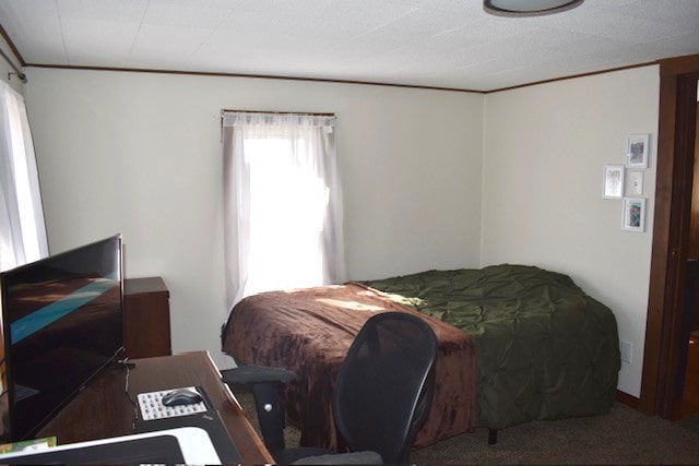 bedroom featuring carpet floors and ornamental molding