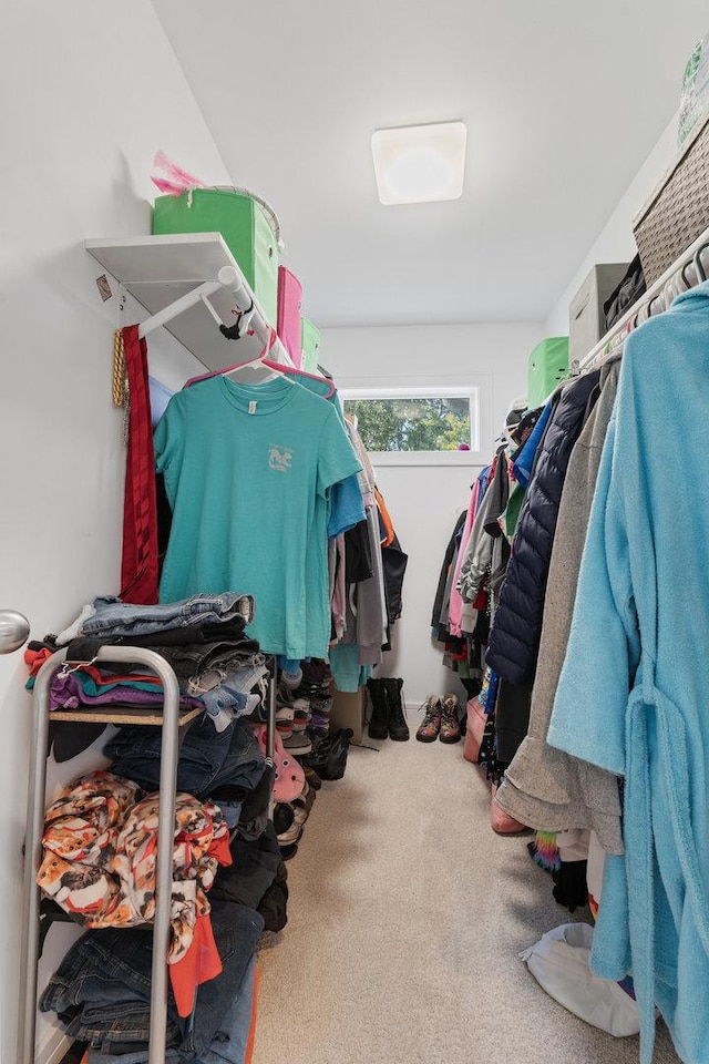 spacious closet featuring carpet