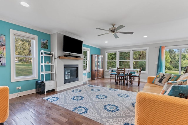 living room featuring a glass covered fireplace, wood finished floors, baseboards, and a healthy amount of sunlight