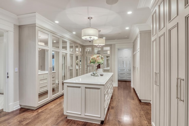 walk in closet with wood finished floors