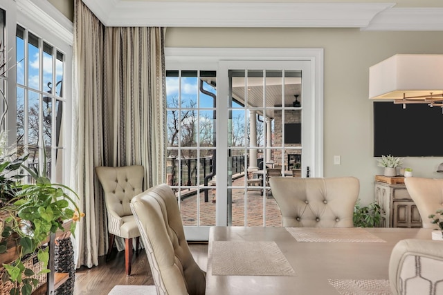 interior space featuring a wealth of natural light, crown molding, and wood finished floors